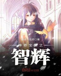 神奇宝贝之智辉顶点