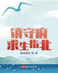镇守府求生指北八一