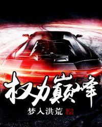 权力巅峰王洪涛