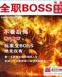 全职博主是什么意思
