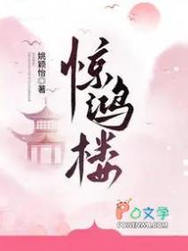 惊鸿楼姚颖怡讲的什么