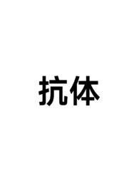 抗体rnp