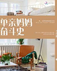 单亲妈妈奋斗记第十九集