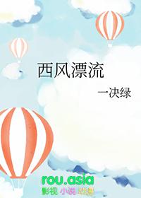 西风漂流流速