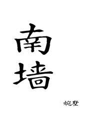 南墙by知安