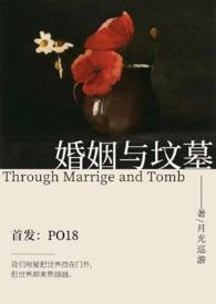 hp婚姻与坟墓第二部