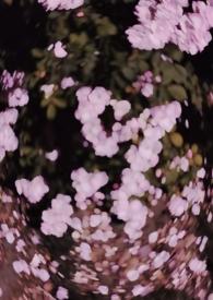 西沉寂静地 (校园 h)-骨跃-穿越架空-御书屋手机阅读