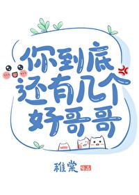 你到底有几个好哥哥是什么歌