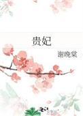 贵妃娘娘一路高升免费阅读