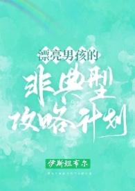 漂亮男孩的非典型攻略计划(NPH/简)新伊斯坦布尔 著