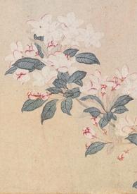 撷春色(强取豪夺)作者许酒肆