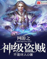 网游之 盗贼