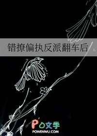 错撩偏执反派翻车后免费 作者二十一挽著