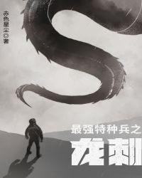 最强特种兵之龙刺续集叫什么