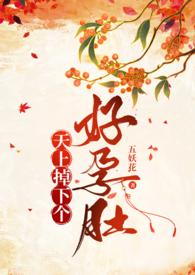 天上掉下个媳妇儿谁攻