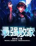 最强败家子游戏破解版