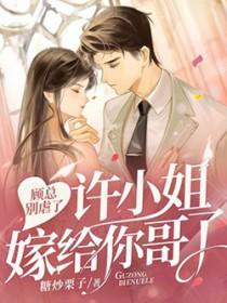 顾总的小