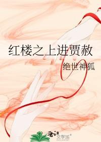 红楼之上进贾赦 书包