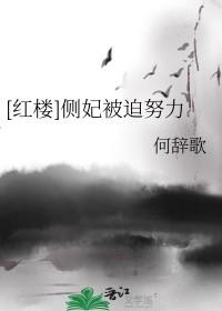 侧妃逆袭的