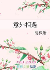 意外相遇结局