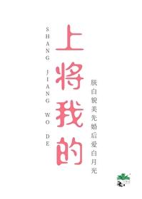 上将我的作者秋水泱泱