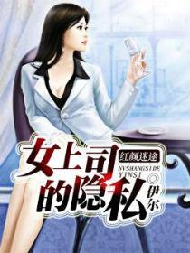 女上司红红 多机位