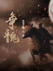吞噬网争魏