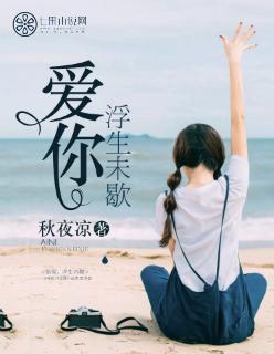 浮生未歇歌词表达什么意思