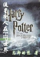 流星街人穿越hp