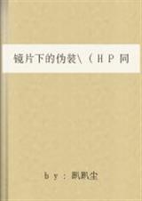 hp之镜片下的伪装