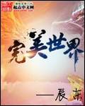完美世界1月28日快速反弹
