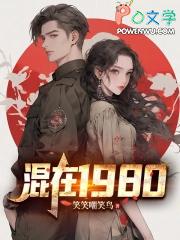 混在1980免费阅读