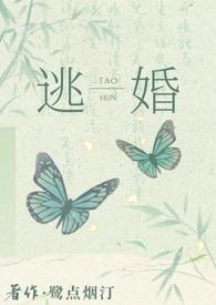 逃婚之后全文阅读