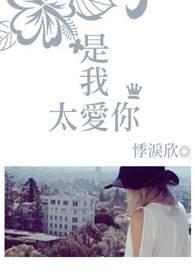 是我爱你太过