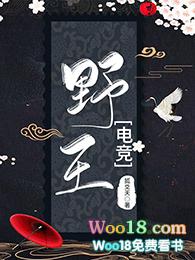 野王dj