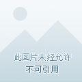 我的天赋有亿点强