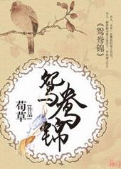 鸳鸯锦歌词