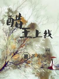 醋王是啥意思