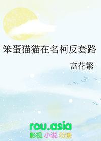 笨蛋猫咪