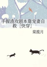 大佬他总想撩我全文免费阅读