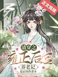 清穿之雍正肉