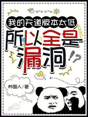 所以全是漏洞免费阅读无弹窗
