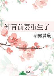 知青前妻重生了作者铃溪