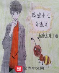 小蚂蚁奇遇记的作文