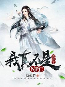 我真不是npc晗