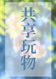 共享玩物np高h