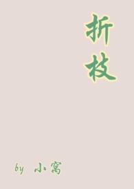 折枝的作品