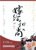 嫁给一个和尚TXT书包网
