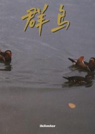 群鸟歌
