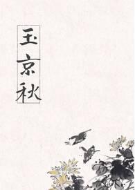 玉京秋楚秉之赵砚免费阅读